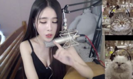 熊猫91女主播在线直播,直播间的魅力女神